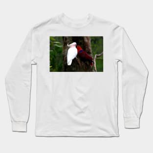 Give Us A Kiss Handsome Long Sleeve T-Shirt